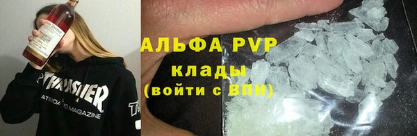 ГАЛЛЮЦИНОГЕННЫЕ ГРИБЫ Корсаков