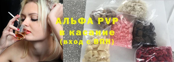ГАЛЛЮЦИНОГЕННЫЕ ГРИБЫ Корсаков