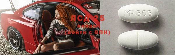 ГАЛЛЮЦИНОГЕННЫЕ ГРИБЫ Корсаков