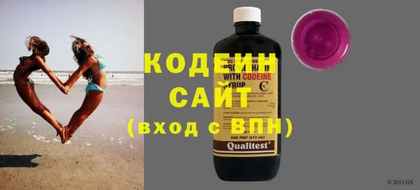 ГАЛЛЮЦИНОГЕННЫЕ ГРИБЫ Корсаков
