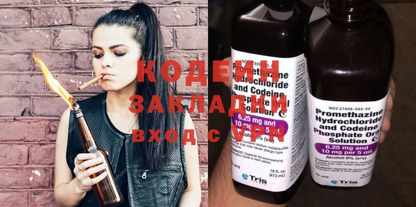 ГАЛЛЮЦИНОГЕННЫЕ ГРИБЫ Корсаков
