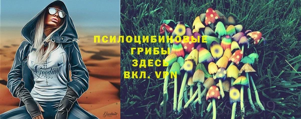 ГАЛЛЮЦИНОГЕННЫЕ ГРИБЫ Корсаков