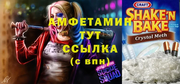 ГАЛЛЮЦИНОГЕННЫЕ ГРИБЫ Корсаков