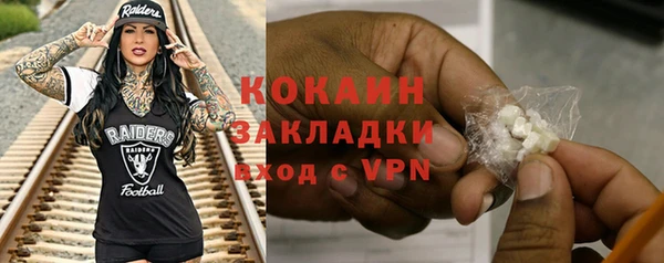ГАЛЛЮЦИНОГЕННЫЕ ГРИБЫ Корсаков